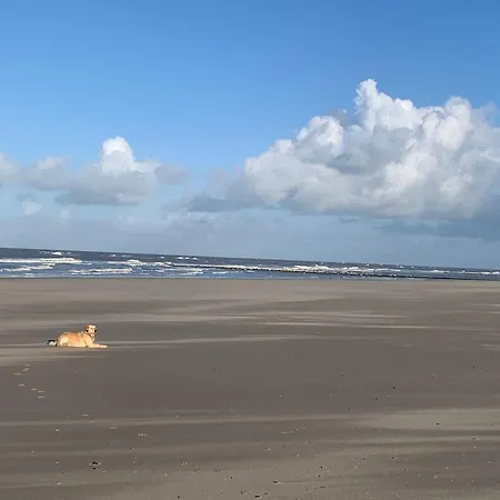 Holiday home Traumblick Nr 6 Aufs Wattenmeer Blick Bis Nach Texel