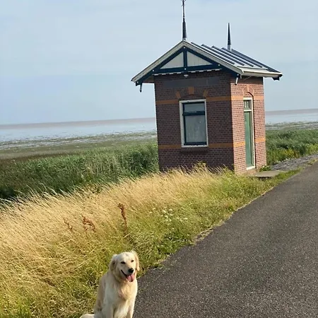 Traumblick Nr 6 Aufs Wattenmeer Blick Bis Nach Texel Holiday home *
